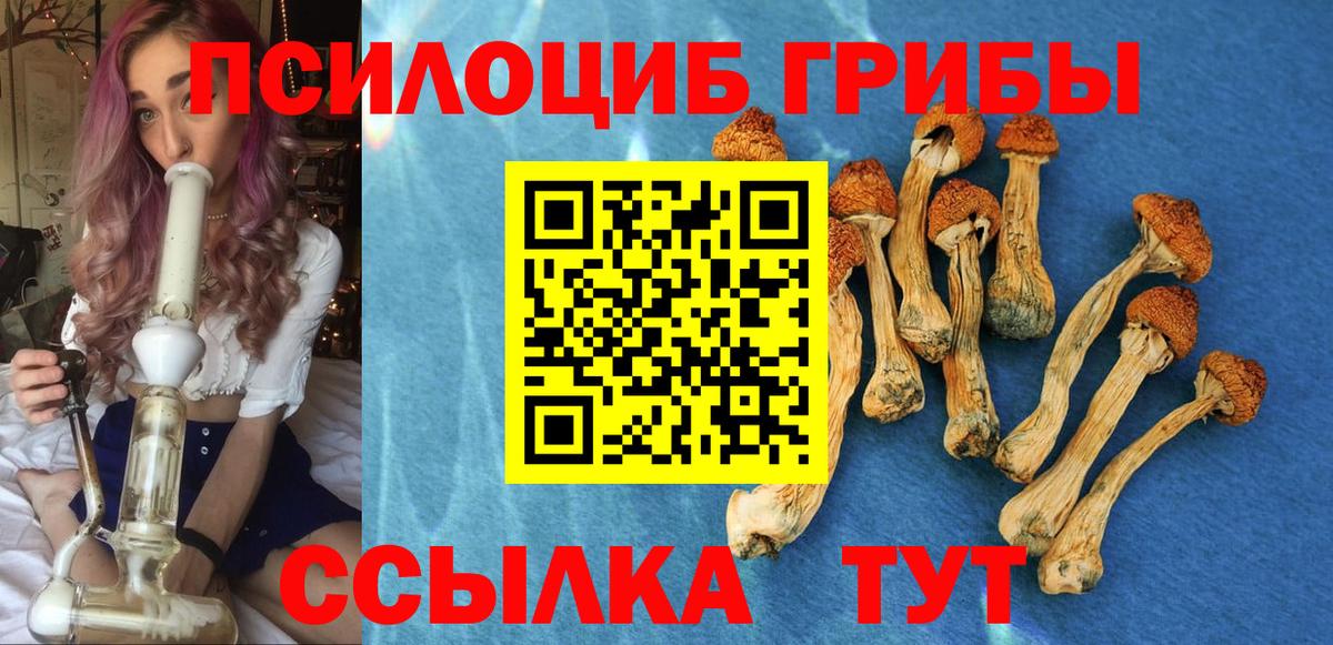 Галлюциногенные грибы Cubensis Бузулук